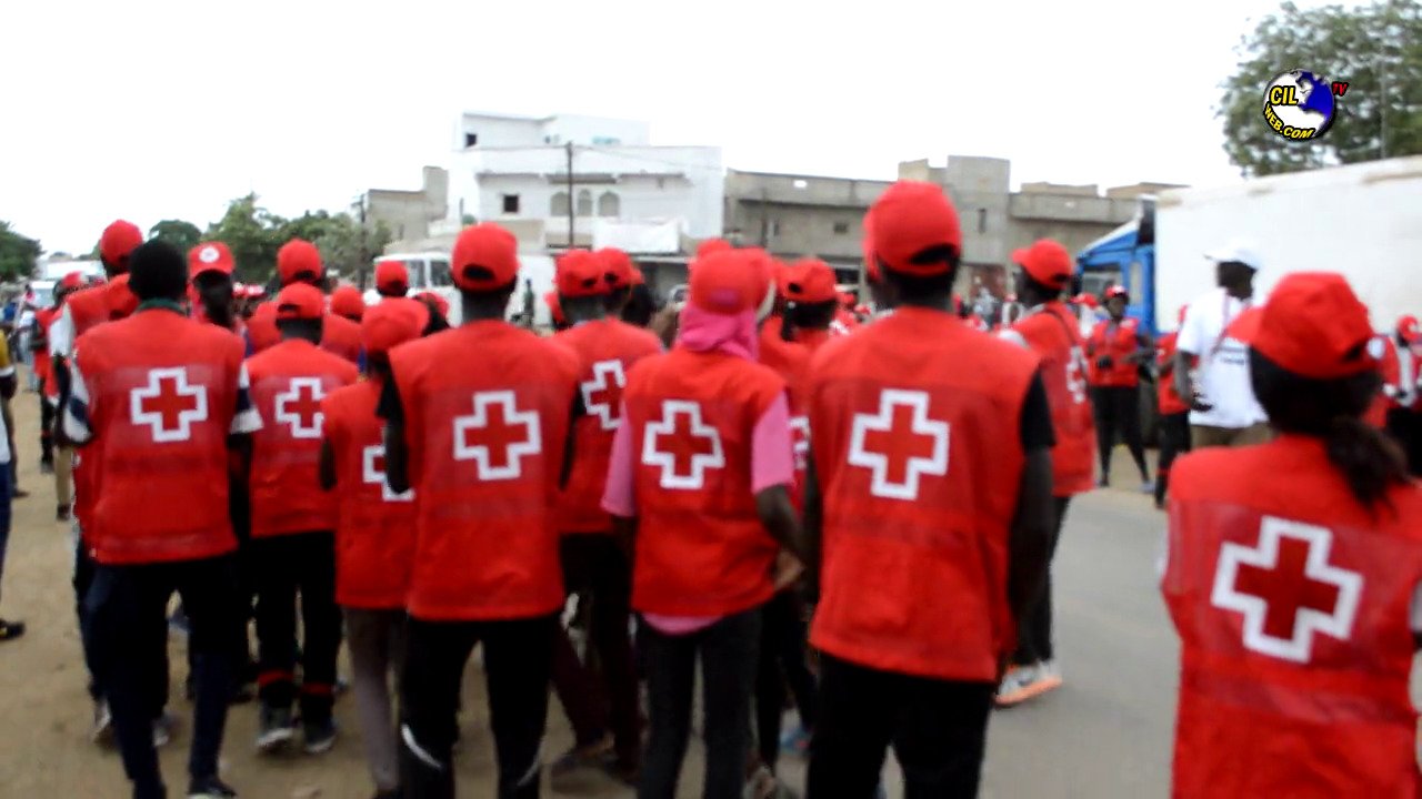 Croix-Rouge Sénégalaise recrute plusieurs profils - Education SN